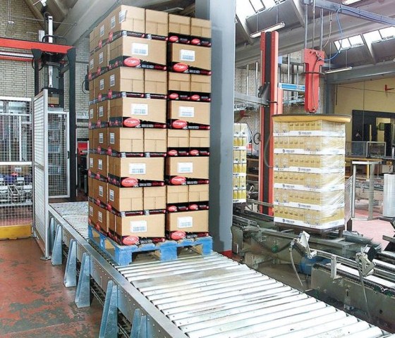 SOCO Driven coupled section pallet roller conveyor